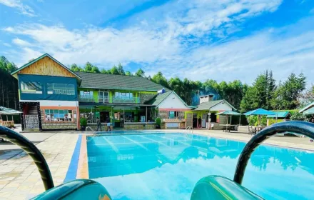 Dive in M's Hotel